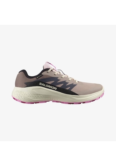 Salomon Alphaglide Gore-tex Kadın Koşu Ayakkabısı L47857900 Bej