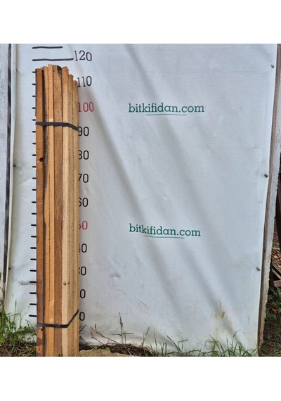 Fidan Dikim Tahtası 100-110 Cm 15 Adet