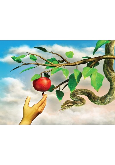 Nova Puzzle 1000 Parça Yasak Elma Puzzle