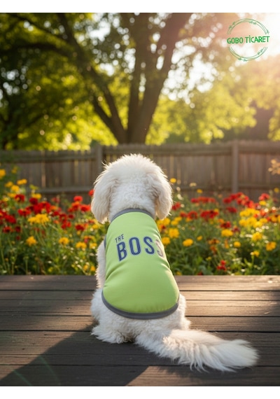 Yeşil The Boss Patron Yazılı Kedi Ve Köpek Kıyafeti Tişörtü Elbisesi Medium/m/beden 2