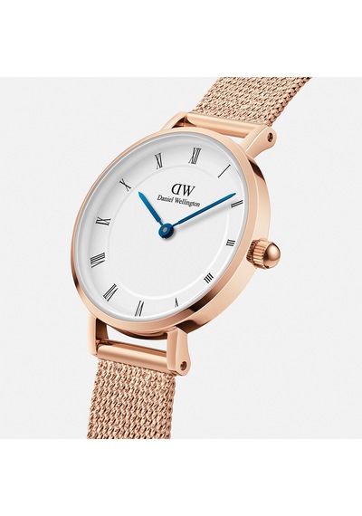 Daniel Wellington Dw00600681 Kadın Kol Saati Diğer