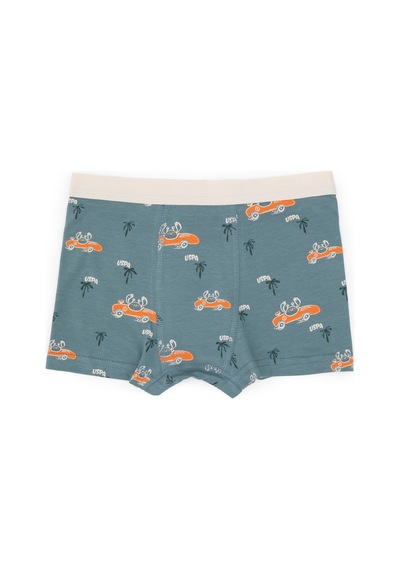 U.S. Polo Assn. Erkek Çocuk 3'lü Boxer Takım 50319395-VR051