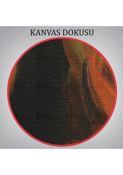 Flamenko Dansçısı Kadın Dekoratif Duvar Tablosu-6425 70 X 100