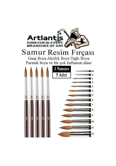 Tr Resim Fırçası 3 Numara 5 Li 1 Paket Samur Yuvarlak Uçlu Fırça Seti Guaj Sulu Akrilik Yağlı Boya Fırçaları