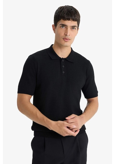 Defacto Standart Fit Polo Yaka Triko Kısa Kollu Tişört F4947ax25aubk27 SIYAH