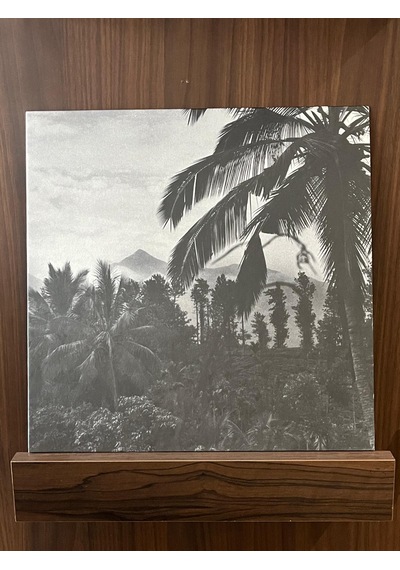 Mystical Communication Service - The Fierce People , Lp Psychede