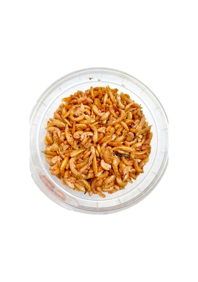 Ans Kaplumbağalar İçin Vitamin+20 Gr Gammarus +kabuk Kalitesi Arttırıcı Jel