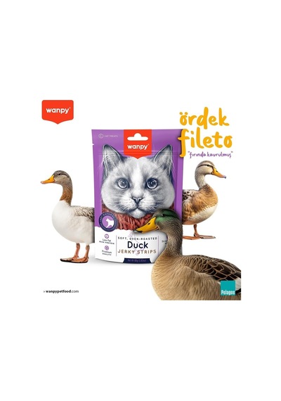 Wanpy Gerçek Ördek Fileto 80 Gr Yumuşak Kedi Ödülü