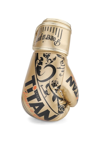Titan Sport Gold Serisi İşlemeli Boks Eldiveni 12 Oz Çok Renkli