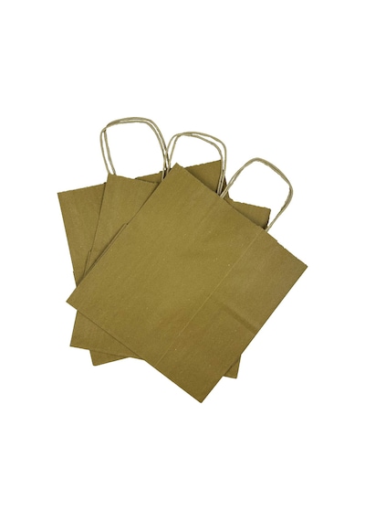28x16x28 Burgu Saplı Karton Çanta Orta Boy 100 Adet