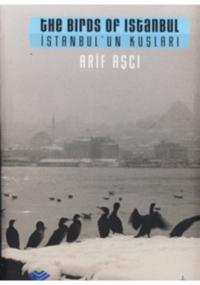 İstanbul'un Kuşları - The Bırds Of Istanbul