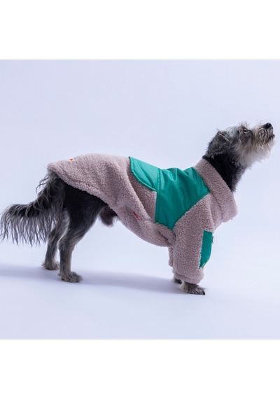 Bej Bergen Outdoor Ceket Kedi Köpek Ceketi Kalın Fermuarlı Kedi Köpek Kıyafeti Kedi Köpek Elbisesi Bej Bergen Outdoor Ceket Kedi Köpek Ceketi Kalın Fermuarlı Kedi Köpek Kıyafeti Kedi Köpek Elbisesi