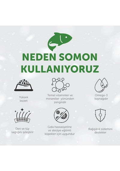 Nature's Protection Superior Care Beyaz Tüylü Köpekler İçin Tahılsız Somonlu Tüm Irklar Yavru Başlangıç Köpek Maması 17kg