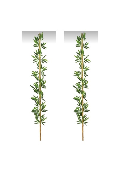Rüzgar Yapay Çiçekçilik 2 Metre 2 Adet Bambu Yeşil