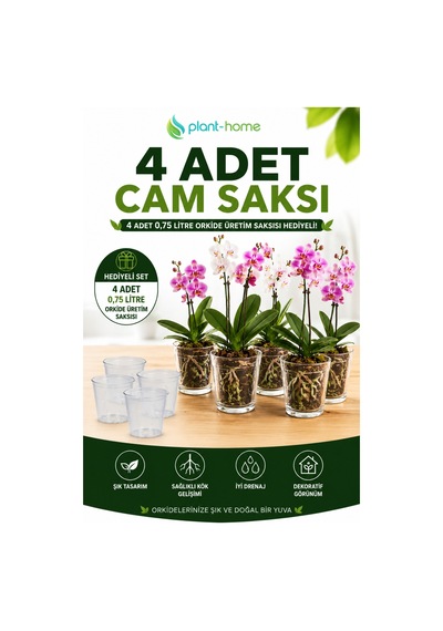 4 Adet Cam Orkide Saksısı Seti Şeffaf Dekoratif Cam Saksı + 4 Adet 0,75 Litre Orkide Üretim Saksısı Hediyeli