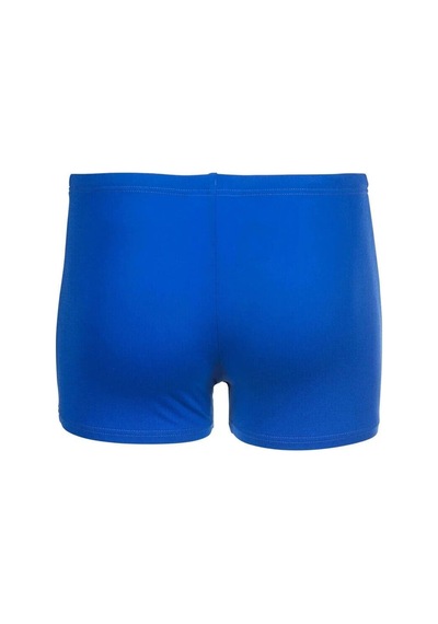 Arena Bright Swim Short Yüzücü Mayosu 006721803 Çok Renkli