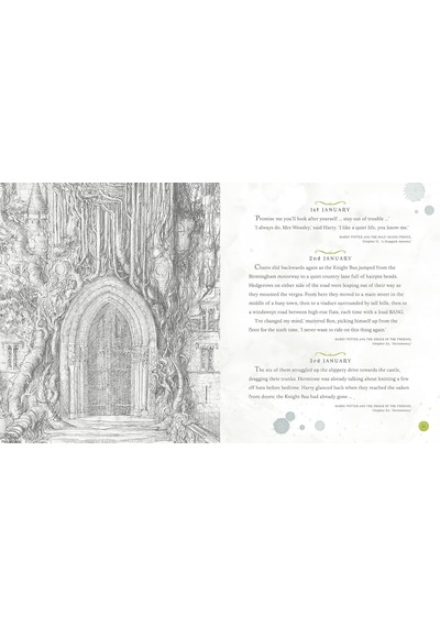 Harry Potter - A Magical Year: The Illustrations Of Jim Kay