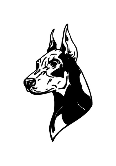 Doberman Köpeği Stickerı Yapıştırması 15Cm