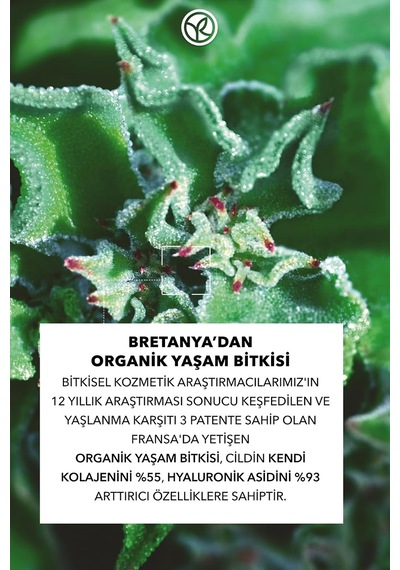 Lift Pro-collagène Bakuchiol Serum, Bitkisel Kolajen Ve Hyaluronik Asit, 30 Ml