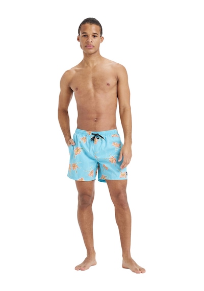 Quiksilver Everyday Straight Volley 15 Erkek Mavi Deniz Şortu Eqyjv04121-mabb
