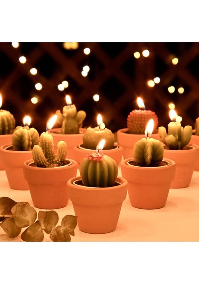 Tr 12 Adet Kaktüs Tealight Mumlar Gelin Partisi Hediyeleri Boho Meksika Parti Dekorasyonları Sukulent Mum Mini Çay I Genel