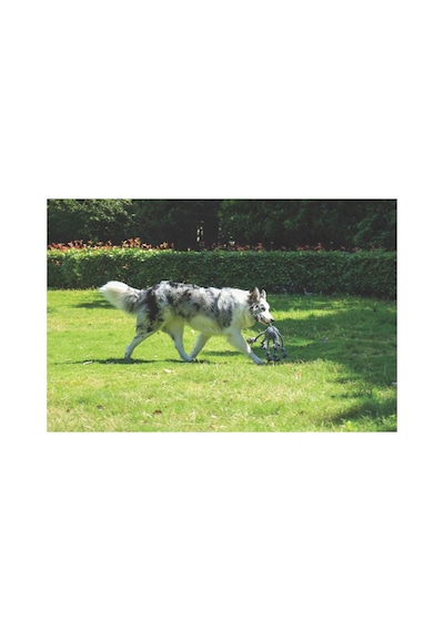 M-pets Coto Grey Cross 60cm Örgü Oyuncak