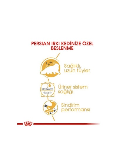 Royal Canin Persian Loaf Pouch Yetişkin Kedi Yaş Maması 12 x 85 G