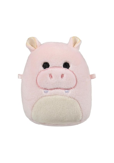 Micromallows Squishmallows Mini Yumuşak Peluş Oyuncak 2 Figür + 2 Aksesuar Figür Seti - 6 Cm - Mod-4 Çok Renkli