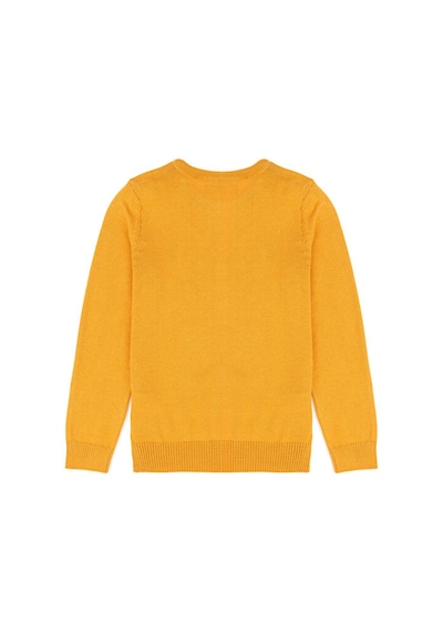 U.S. Polo Assn. Kız Çocuk Hardal Basic Bisiklet Yaka Kazak 50275851-vr072 Sarı