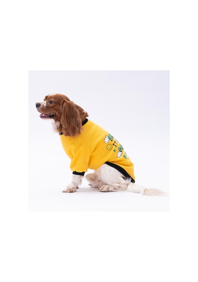 Sarı Loviisa Sweat Kedi Köpek Sweat- Kedi Köpek Kıyafeti
