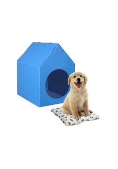 Su Geçirmez Plastik Kedi ve Köpek Evi