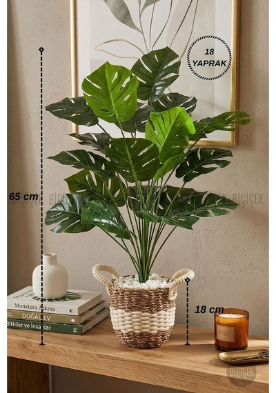 Yapay Monstera Deve Tabani Bi Tki Si 60 Cm Krem Orgulu Hasir Saksıda