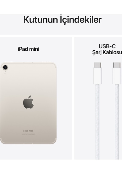 Apple iPad Mini MXPX3TU/A 256 GB Wi-fi + Cellular 8.3" Tablet