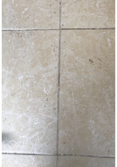 Europa Jet Süper Güç Wc Banyo Temizleyicisi 500 ML