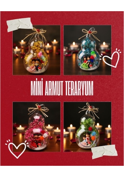 Mini Armut Teraryum - Özel Gün Hediyesi Çok Renkli