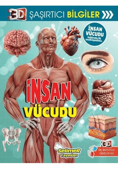 3d Şaşırtıcı Bilgiler - İnsan Vücudu - Sptl-761892