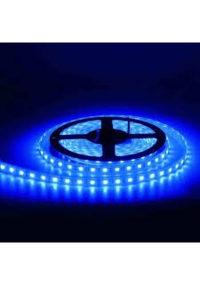 Led Şerit Dış Mekan 24 Volt mavi Silikonlu Ce Rohc