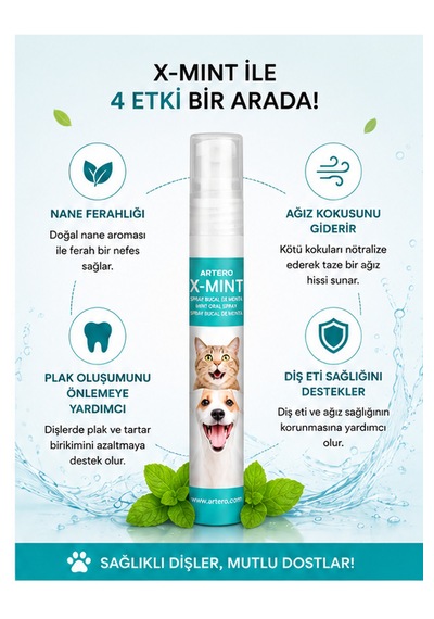 Artero X-mint Ağız Koku Giderici Ve Plak Önleyici Sprey 13 Ml