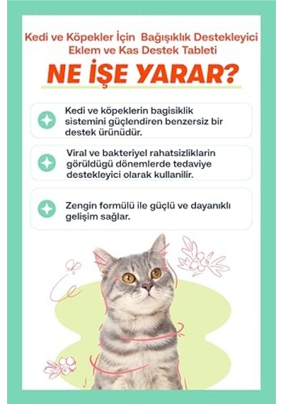 Biofeline Immune C Tablet Ve Kedi Ve Köpekler İçin Bağışıklık Sistemi Desteği Ve 75 Tablet