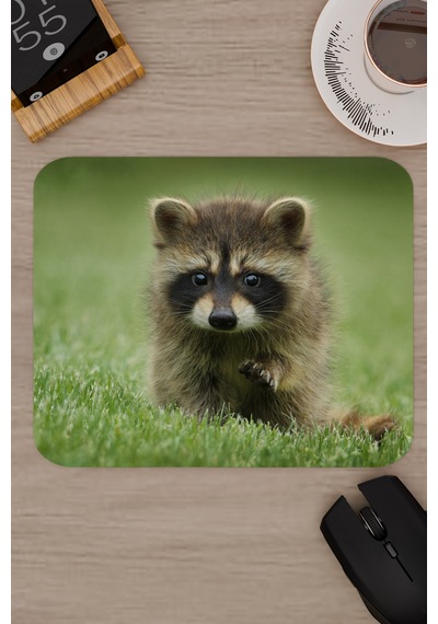 Rakun Kaymaz Dikişli Kauçuk Oyuncu Mousepad V2 - 22x18 Gaming Mouse Pad Fare Altlığı