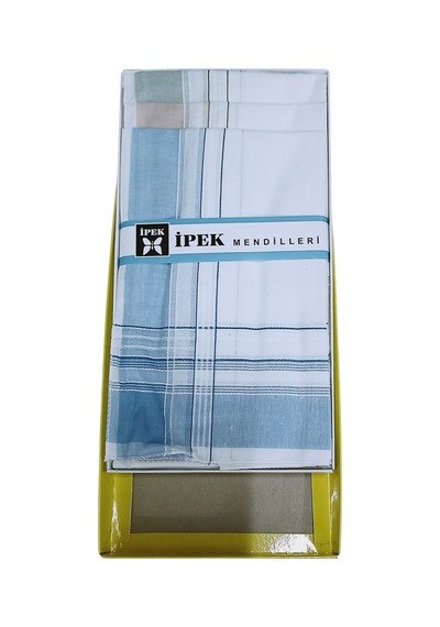 Alfa Aksesuar 03 İpek Erkek Çizgili Kutulu Mendil 12 Adet 42x42 Cm Çok Renkli