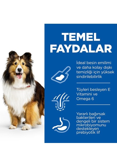 's Scıence Plan Hassas Deri & Mide Yetişkin Orta Irk Tavuklu Köpek Maması 14 Kg