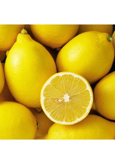 Tüplü Dayanıklı Yarı Bodur Mayer Sulu Limon Fidanı