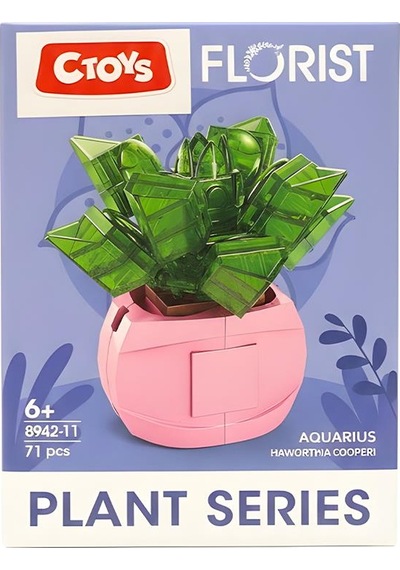 Ctoys Florist Burçlar Saksılı Bitki Yapım Seti Aquarius 8942 11
