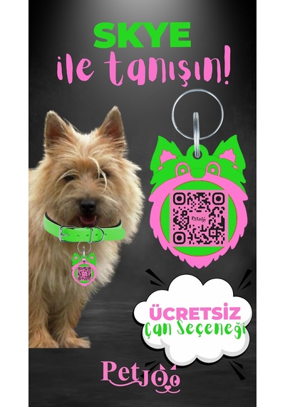 Petjoo 6.Skye Pembe-Yeşil Qr'lı Köpek Künyesi