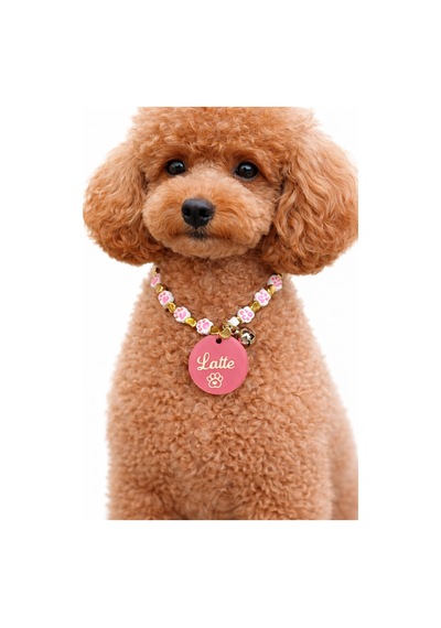 Yavru / Küçük Irk Kedi Köpek Kolyesi