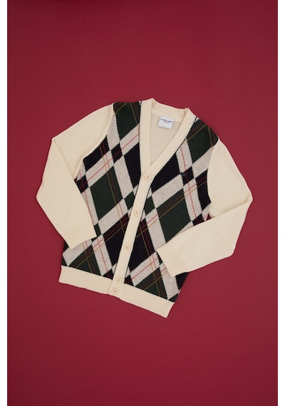 U.s. Polo Assn. Erkek Çocuk Hırka Triko 50311141-vr256 İnci