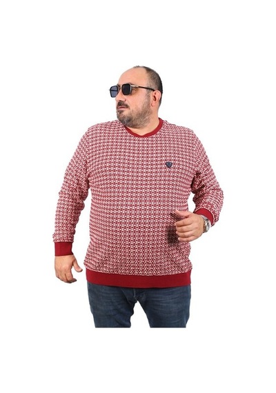 Starbattal Büyük Beden Erkek Bisiklet Yaka Sweatshirt 22715-778