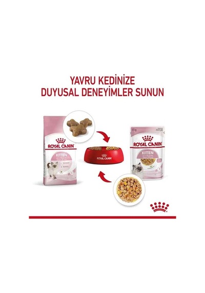 Tr Kitten Jelly Yavru Kedi Yaş Mama 85 Grx12 Ad