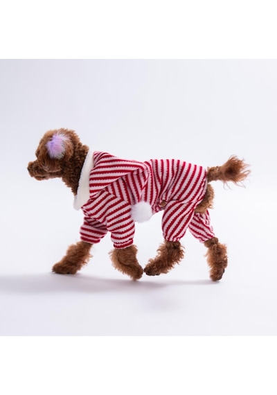 Elfstripe Hood Kırmızı Çizgili Şapkalı Triko Tulum Yılbaşı Noel Köpek Kıyafeti Kedi Kıyafeti Köpek Tulumu